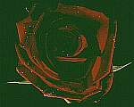 Klick: Parallelsicht Stereobild 28kB: Dunkelrote Rose