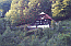 Klick: Bild 178kB aus der Region Glottertal/(Simonswäldertal), 9.9.2006