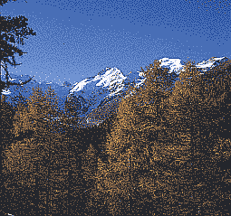 Alpen, Schweiz, Graubünden, St. Moritz, Herbstmorgen bei der Berninagruppe;
klick: Bild 256kB
