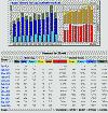Jahresstatistik 8/2009-6/2010; klick: 29kB