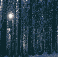 Klick: Bild 260kB: Schwarzwälder Winterwaldzauber
