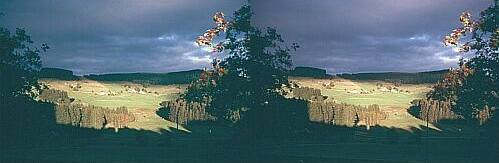 Klick: Bild 84kB; B=800px