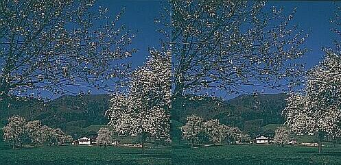 Klick: Bild 298kB; B=1000px
