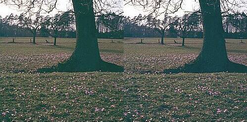 Klick: Bild 371kB; B=1000px