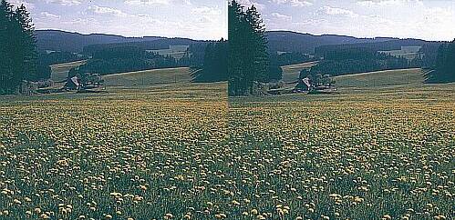 Klick: Bild 306kB; B=1000px
