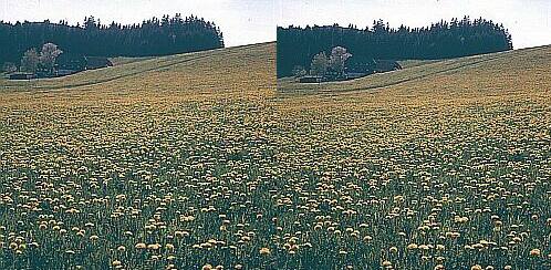 Klick: Bild 333kB; B=1000px