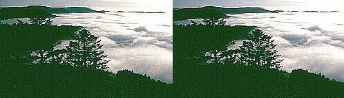 Klick: Bild 75kB; B=800px