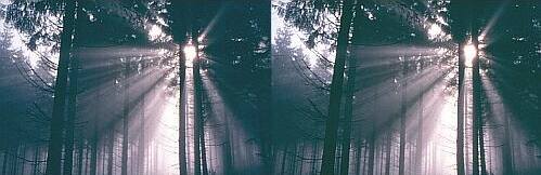 Klick: Bild 91kB; B=800px