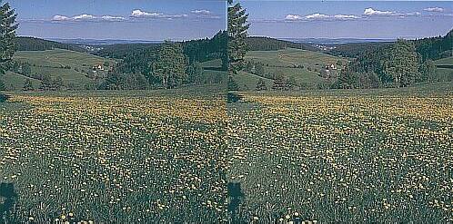 Klick: Bild 321kB; B=1000px