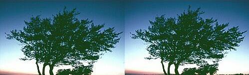 Klick: Bild 92kB; B=800px